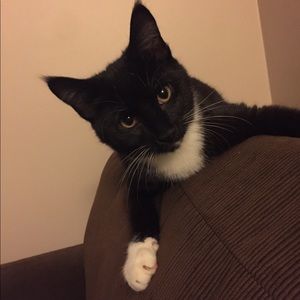 Meet your Posher, Amanda